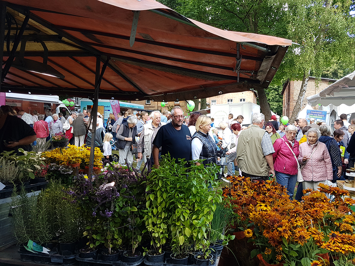 Bauernmarkt_20180901_111037_HP Bauernmarkt_20180901_111037_HP