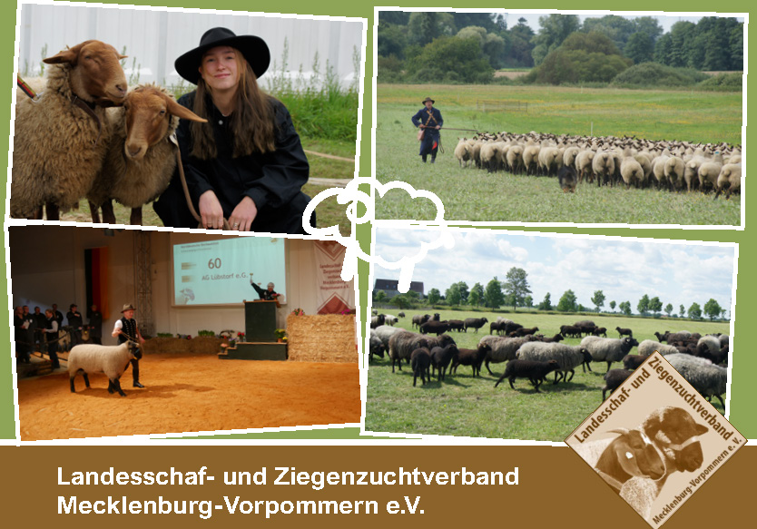 Seiten aus Postkarte_LSZV_2023 Seiten aus Postkarte_LSZV_2023